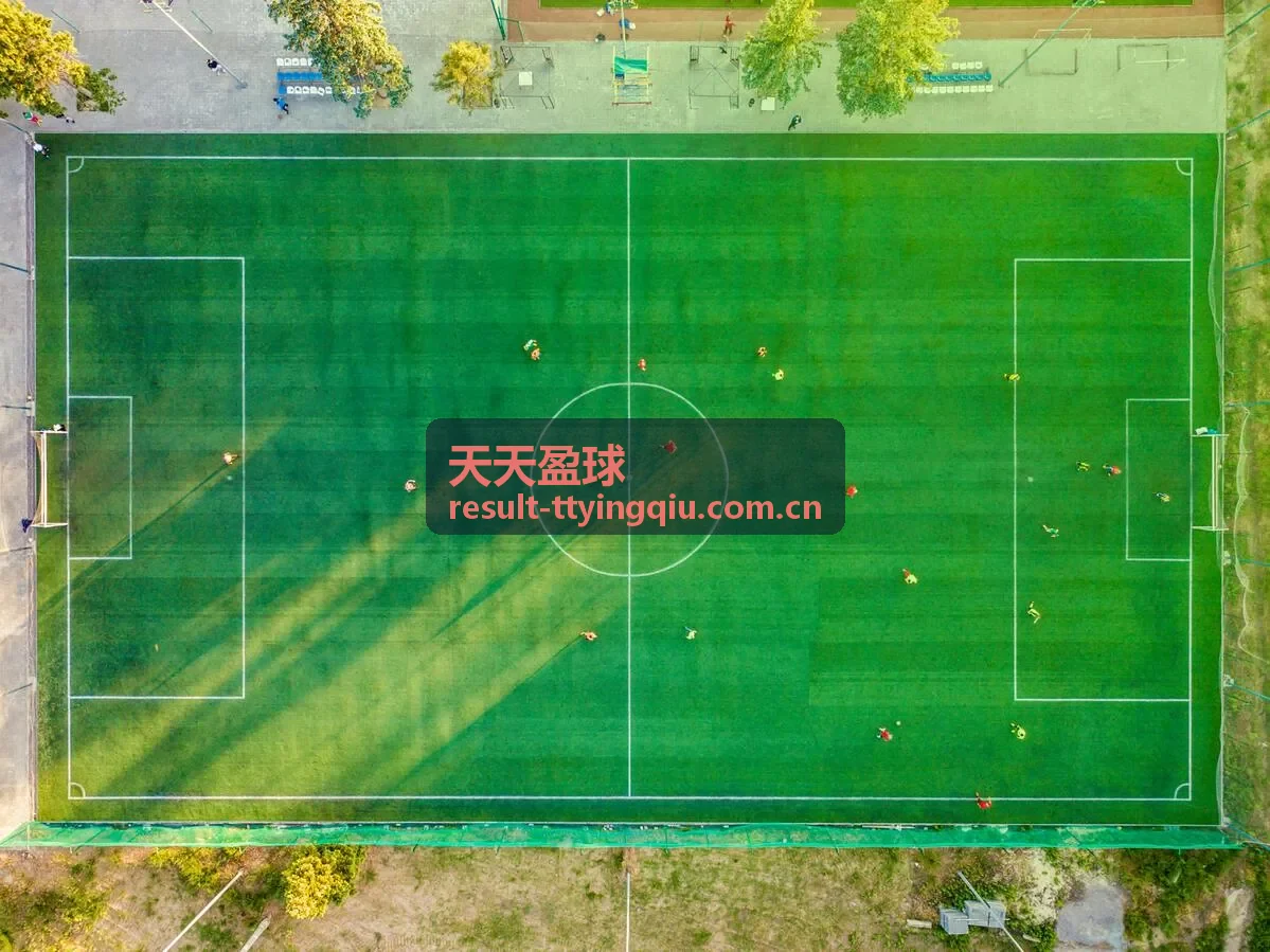 天天盈球德甲高压逼抢数据分析